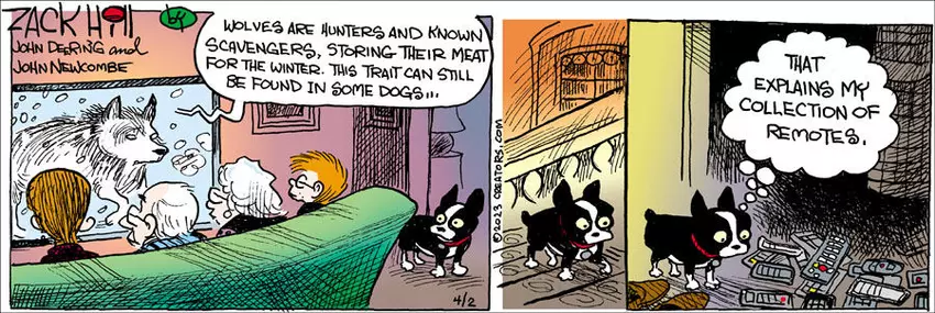 Zack Hill for Apr 02, 2023