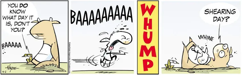 The Barn for Apr 02, 2024