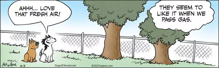 Dogs of C-Kennel for Apr 03, 2023