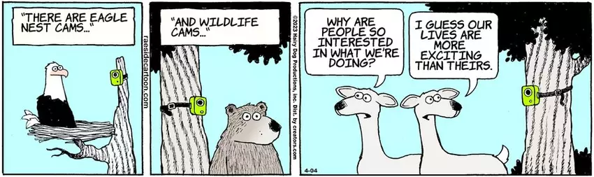 The Other Coast for Apr 04, 2023