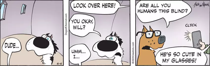 Dogs of C-Kennel for Apr 04, 2023