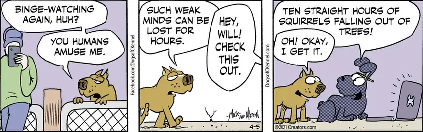 Dogs of C-Kennel for Apr 05, 2021