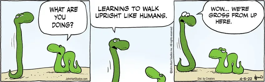 B.C. for Apr 05, 2022