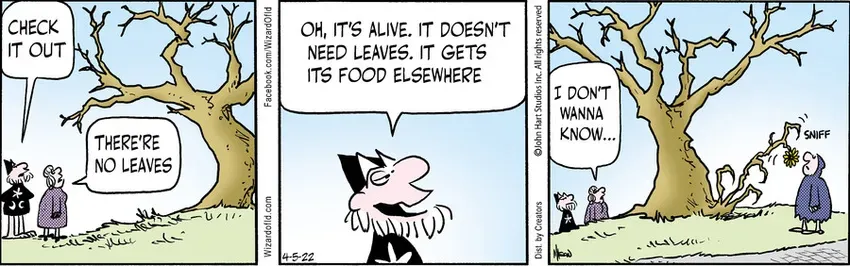 Wizard of Id for Apr 05, 2022