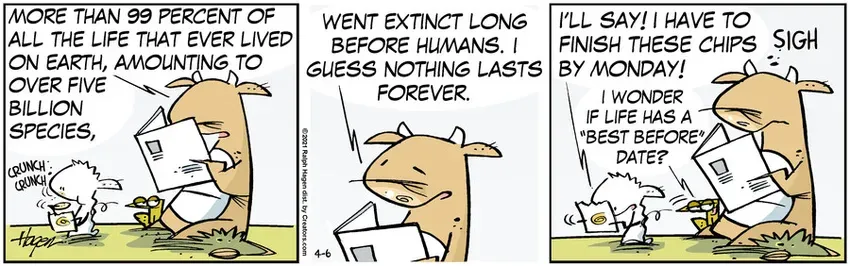 The Barn for Apr 06, 2021