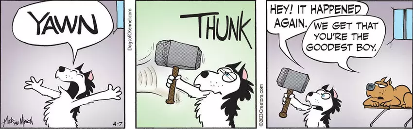 Dogs of C-Kennel for Apr 07, 2023