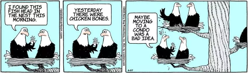 The Other Coast for Apr 07, 2023