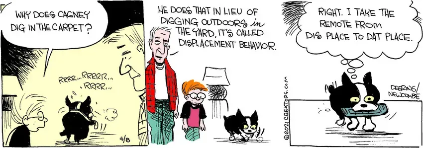 Zack Hill for Apr 08, 2021