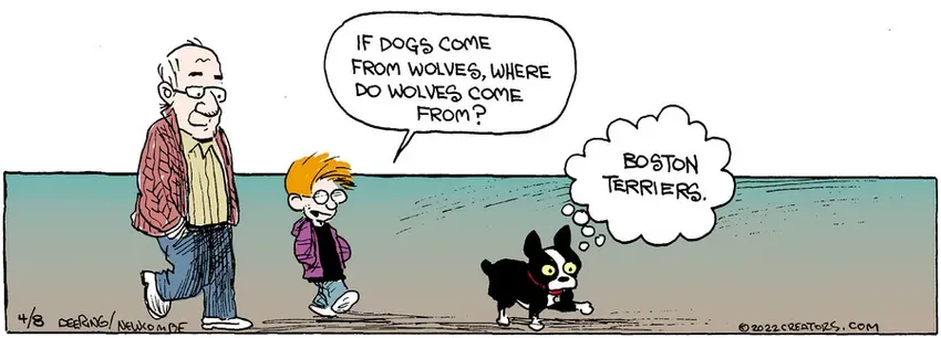 Zack Hill for Apr 08, 2022