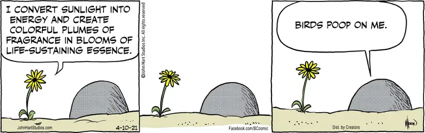 B.C. for Apr 10, 2021