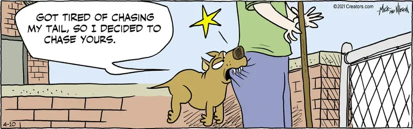 Dogs of C-Kennel for Apr 10, 2021