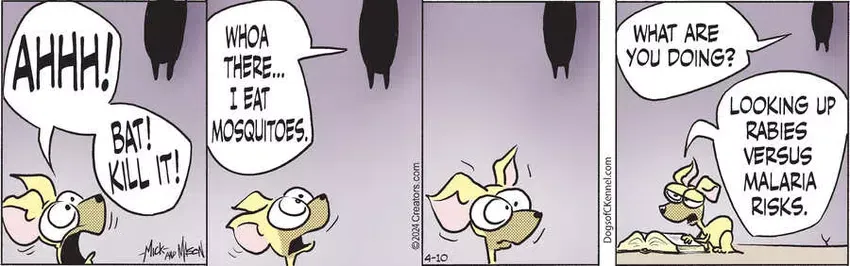 Dogs of C-Kennel for Apr 10, 2024