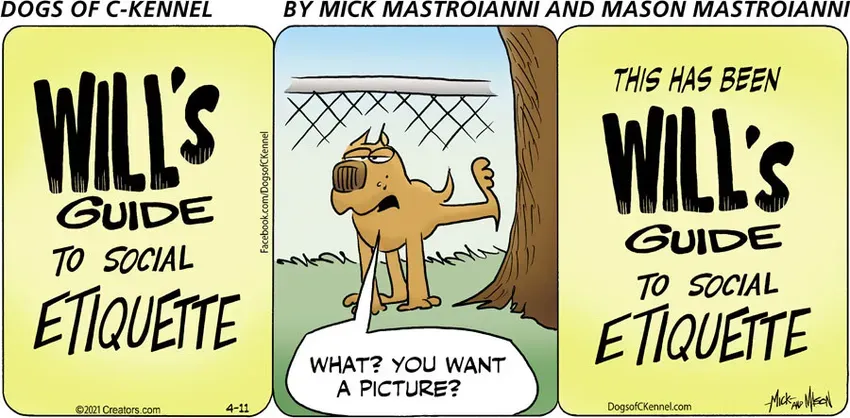 Dogs of C-Kennel for Apr 11, 2021