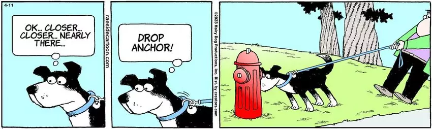 The Other Coast for Apr 11, 2023