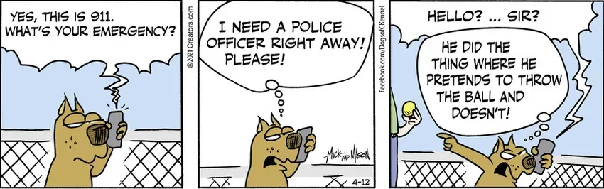 Dogs of C-Kennel for Apr 12, 2021