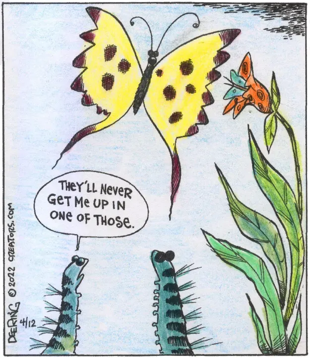 Strange Brew for Apr 12, 2022