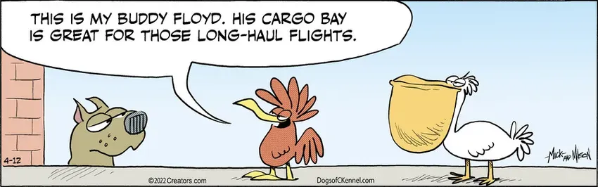 Dogs of C-Kennel for Apr 12, 2022