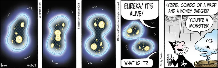 Wizard of Id for Apr 12, 2022