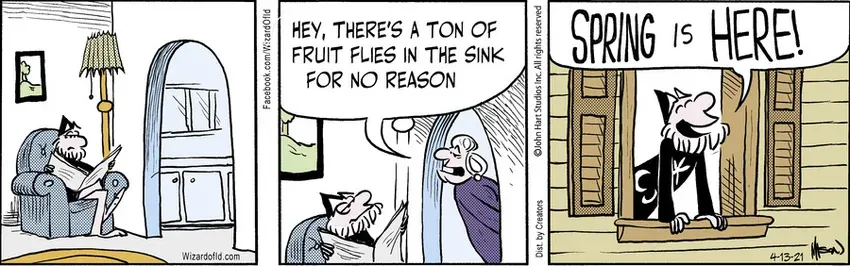 Wizard of Id for Apr 13, 2021