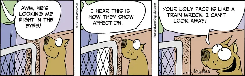 Dogs of C-Kennel for Apr 13, 2021