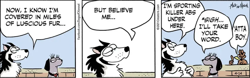 Dogs of C-Kennel for Apr 14, 2021