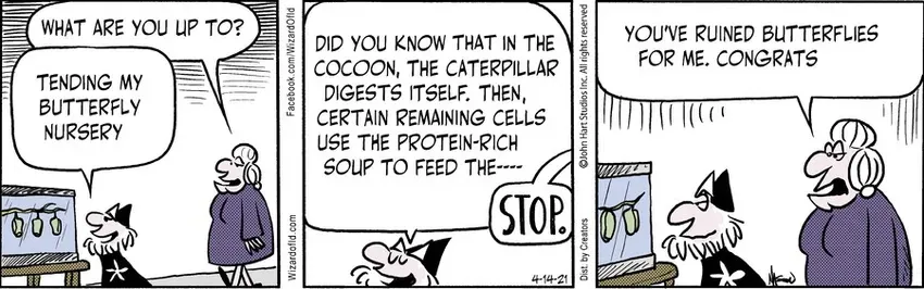 Wizard of Id for Apr 14, 2021