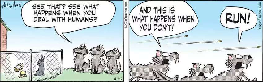 Dogs of C-Kennel for Apr 15, 2023