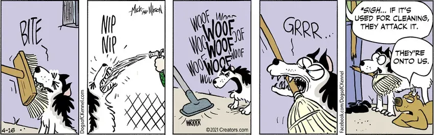 Dogs of C-Kennel for Apr 16, 2021