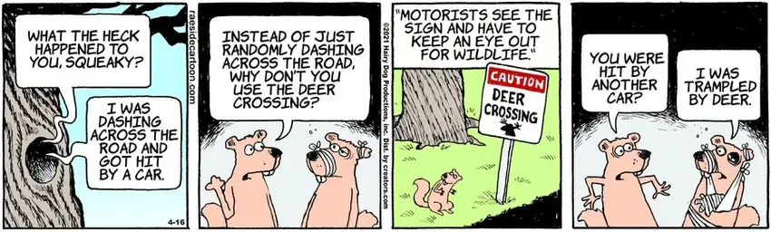 The Other Coast for Apr 16, 2021