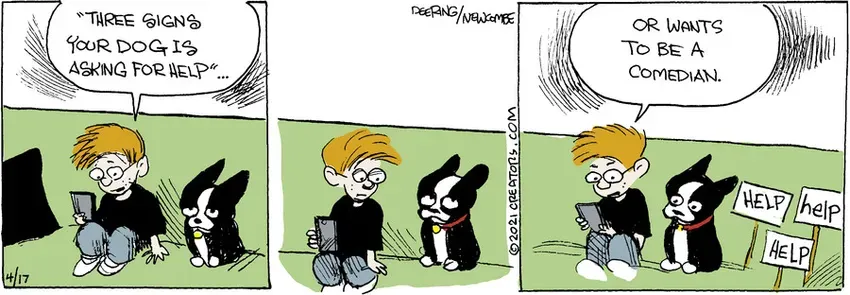 Zack Hill for Apr 17, 2021