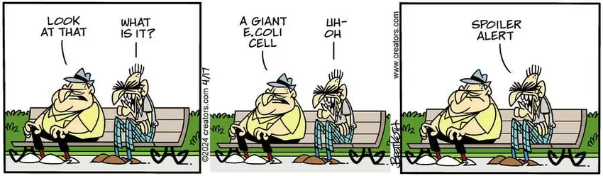 Diamond Lil for Apr 17, 2024