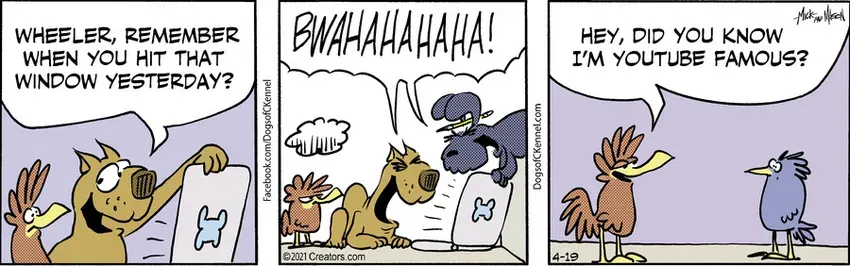 Dogs of C-Kennel for Apr 19, 2021