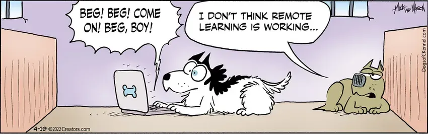 Dogs of C-Kennel for Apr 19, 2022