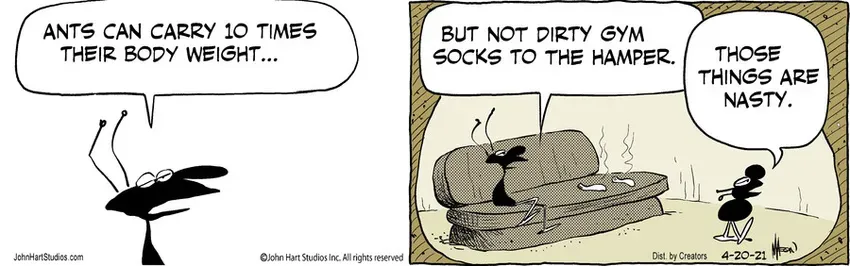 B.C. for Apr 20, 2021