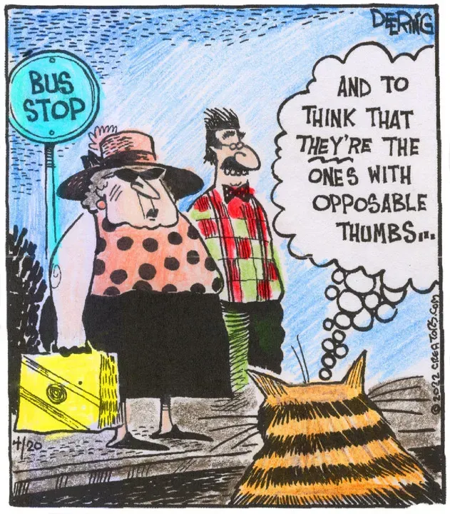 Strange Brew for Apr 20, 2022