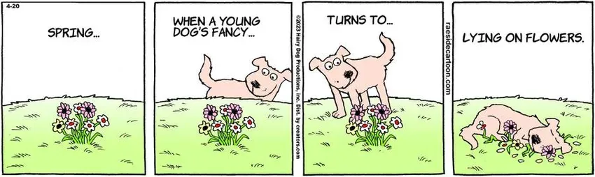 The Other Coast for Apr 20, 2023