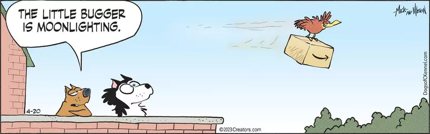 Dogs of C-Kennel for Apr 20, 2023