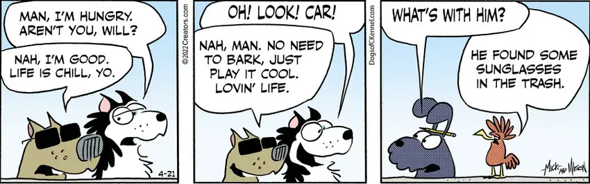 Dogs of C-Kennel for Apr 21, 2022