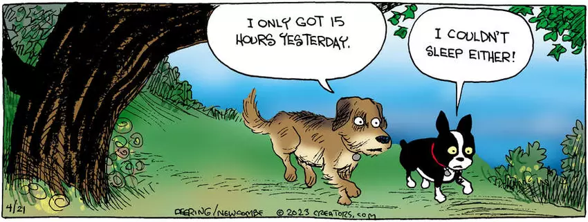 Zack Hill for Apr 21, 2023