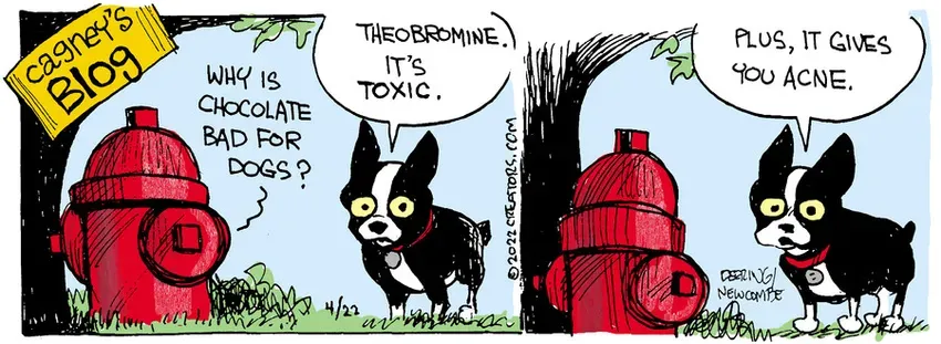 Zack Hill for Apr 22, 2022