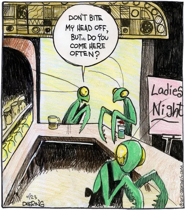 Strange Brew for Apr 23, 2021