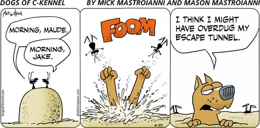 Dogs of C-Kennel for Apr 23, 2023