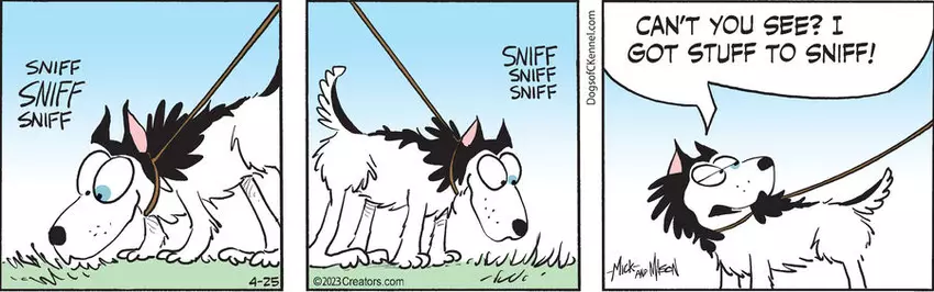 Dogs of C-Kennel for Apr 25, 2023