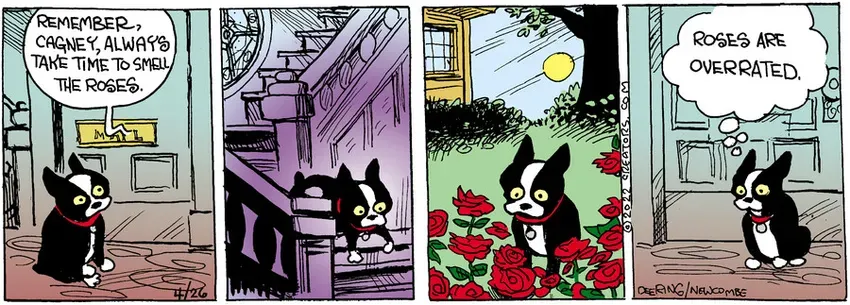 Zack Hill for Apr 26, 2022