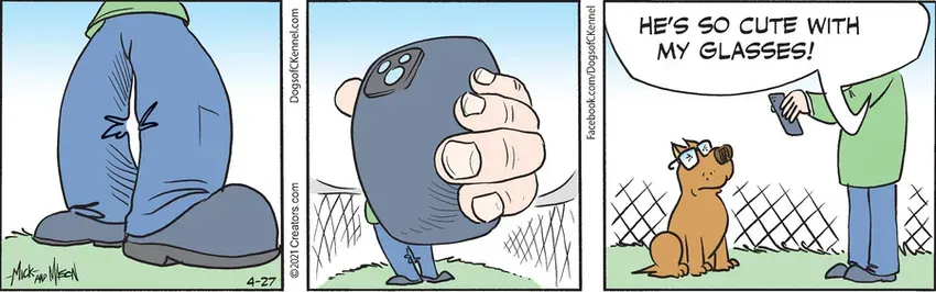 Dogs of C-Kennel for Apr 27, 2021