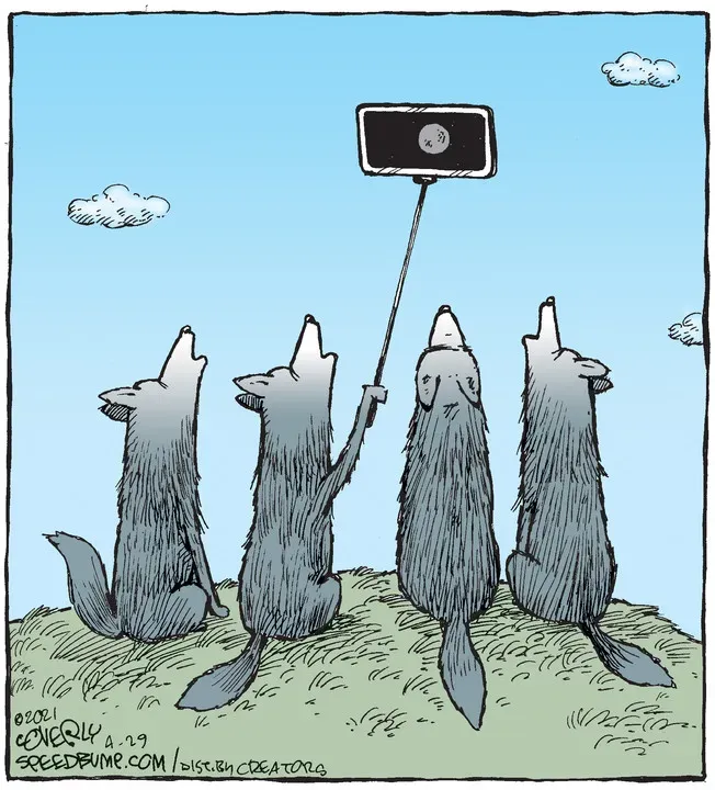 Speed Bump for Apr 29, 2021