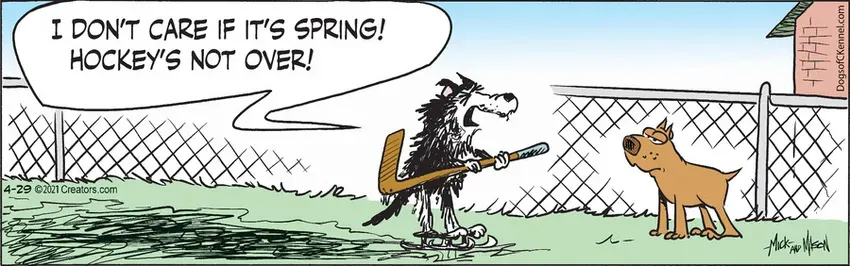 Dogs of C-Kennel for Apr 29, 2021