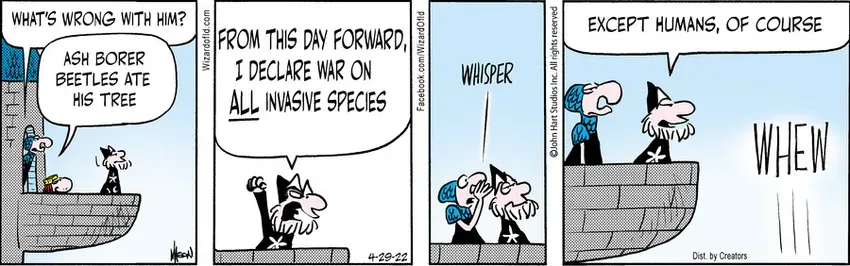 Wizard of Id for Apr 29, 2022