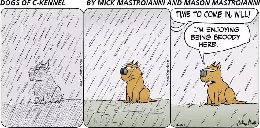 Dogs of C-Kennel for Apr 30, 2023