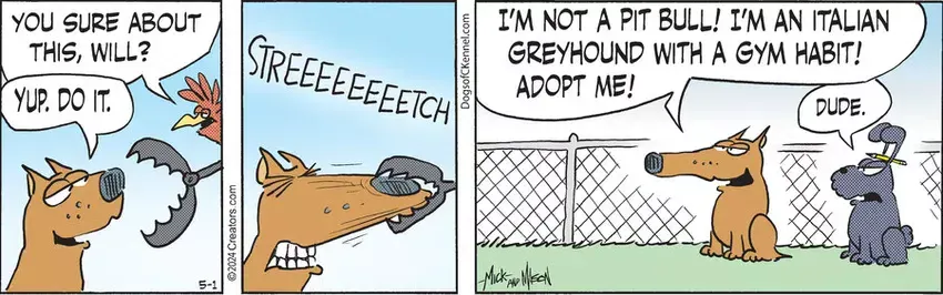 Dogs of C-Kennel for May 01, 2024